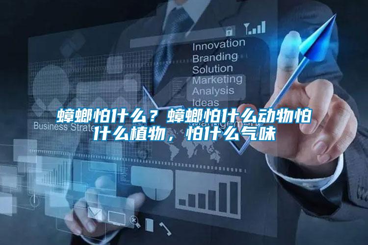蟑螂怕什么？蟑螂怕什么動物怕什么植物，怕什么氣味