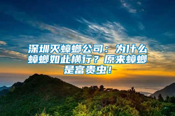 深圳滅蟑螂公司：為什么蟑螂如此橫行？原來蟑螂是富貴蟲！