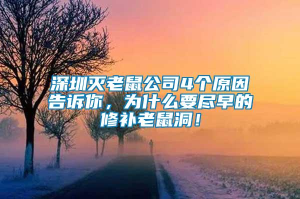 深圳滅老鼠公司4個原因告訴你，為什么要盡早的修補老鼠洞！