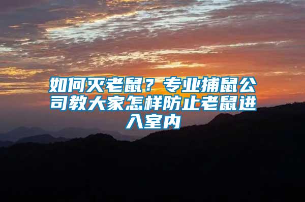 如何滅老鼠？專業捕鼠公司教大家怎樣防止老鼠進入室內