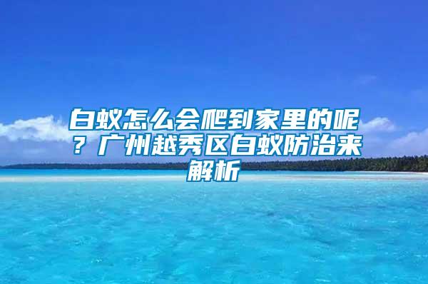 白蟻怎么會爬到家里的呢？廣州越秀區(qū)白蟻防治來解析