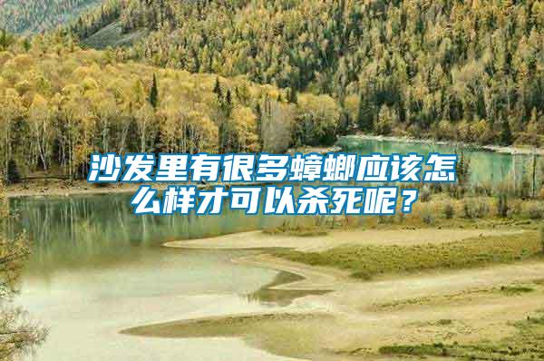 沙發里有很多蟑螂應該怎么樣才可以殺死呢？