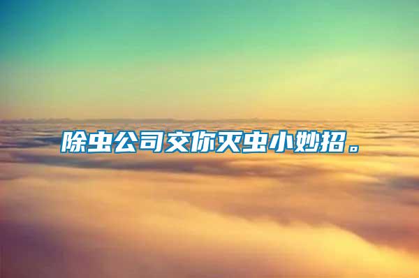 除蟲公司交你滅蟲小妙招。