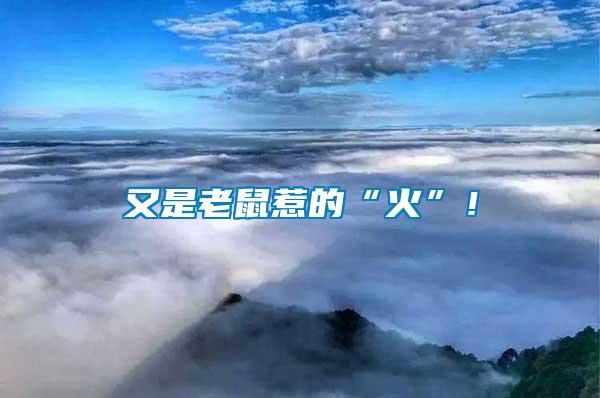 又是老鼠惹的“火”！