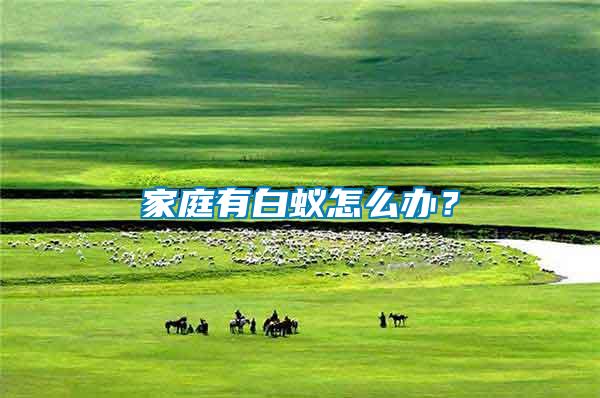 家庭有白蟻怎么辦？