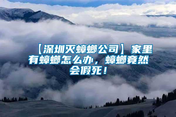 【深圳滅蟑螂公司】家里有蟑螂怎么辦，蟑螂竟然會假死！