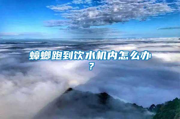 蟑螂跑到飲水機內(nèi)怎么辦？