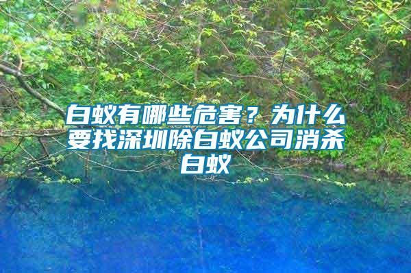 白蟻有哪些危害？為什么要找深圳除白蟻公司消殺白蟻