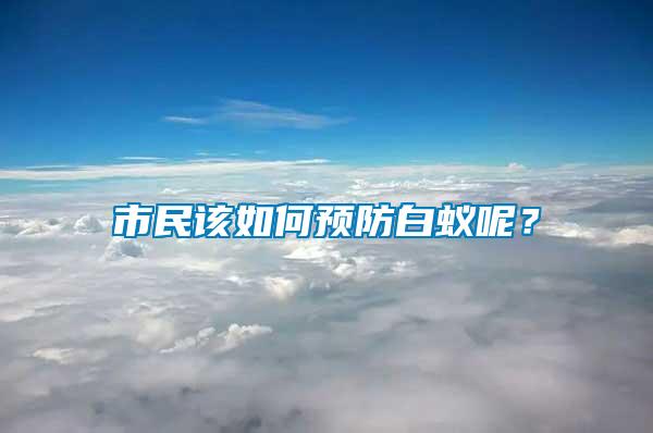 市民該如何預防白蟻呢？