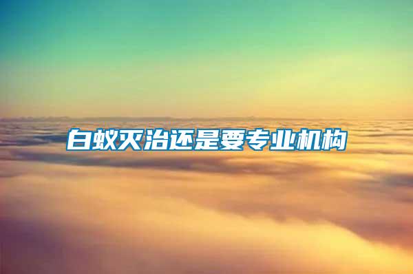 白蟻滅治還是要專業機構