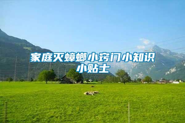 家庭滅蟑螂小竅門(mén)小知識(shí)小貼士