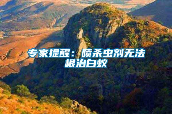 專(zhuān)家提醒：噴殺蟲(chóng)劑無(wú)法根治白蟻