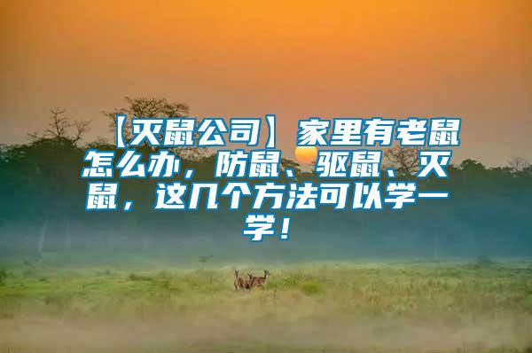 【滅鼠公司】家里有老鼠怎么辦，防鼠、驅鼠、滅鼠，這幾個方法可以學一學！