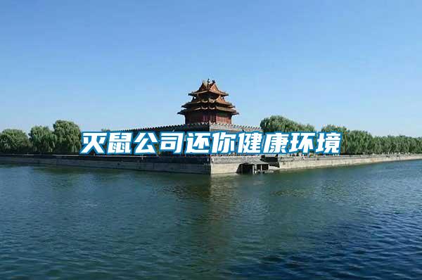 滅鼠公司還你健康環境