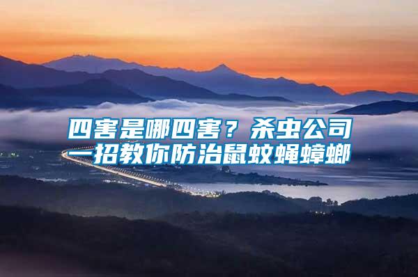 四害是哪四害？殺蟲公司一招教你防治鼠蚊蠅蟑螂