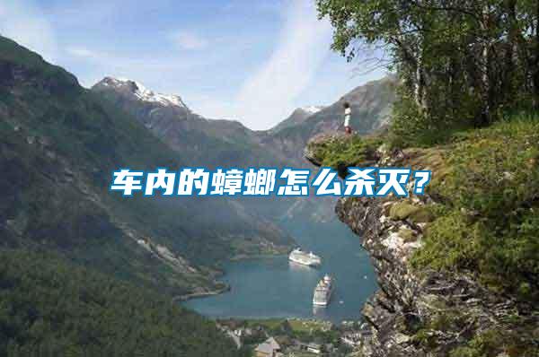 車內的蟑螂怎么殺滅？
