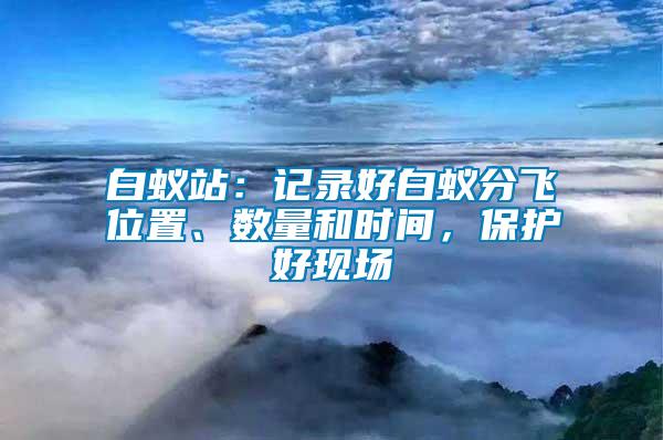 白蟻站：記錄好白蟻分飛位置、數(shù)量和時間，保護(hù)好現(xiàn)場