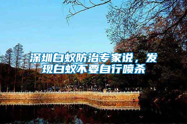 深圳白蟻防治專家說，發現白蟻不要自行噴殺