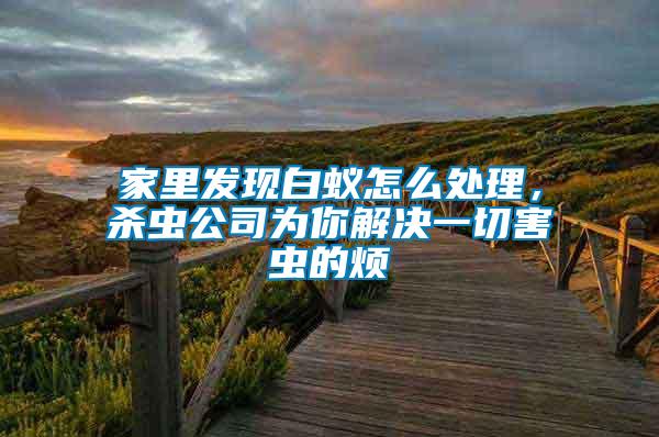家里發現白蟻怎么處理，殺蟲公司為你解決一切害蟲的煩