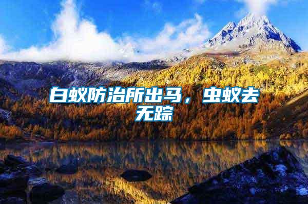 白蟻防治所出馬，蟲蟻去無蹤