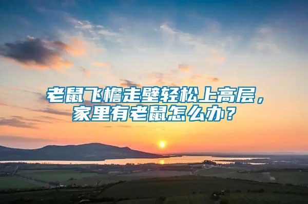 老鼠飛檐走壁輕松上高層，家里有老鼠怎么辦？