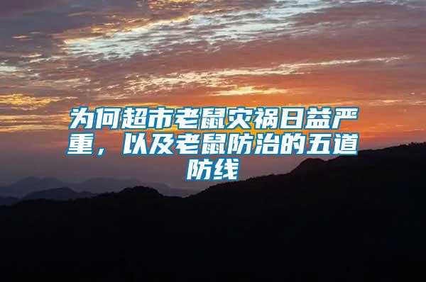 為何超市老鼠災(zāi)禍日益嚴(yán)重，以及老鼠防治的五道防線(xiàn)