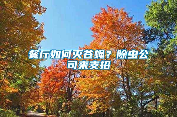 餐廳如何滅蒼蠅？除蟲公司來支招