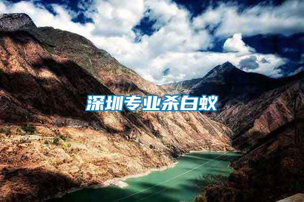 深圳專(zhuān)業(yè)殺白蟻
