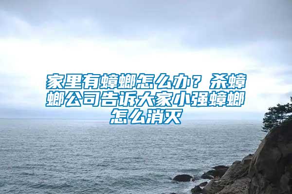 家里有蟑螂怎么辦？殺蟑螂公司告訴大家小強(qiáng)蟑螂怎么消滅