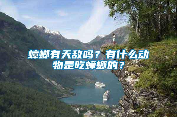 蟑螂有天敵嗎？有什么動物是吃蟑螂的？