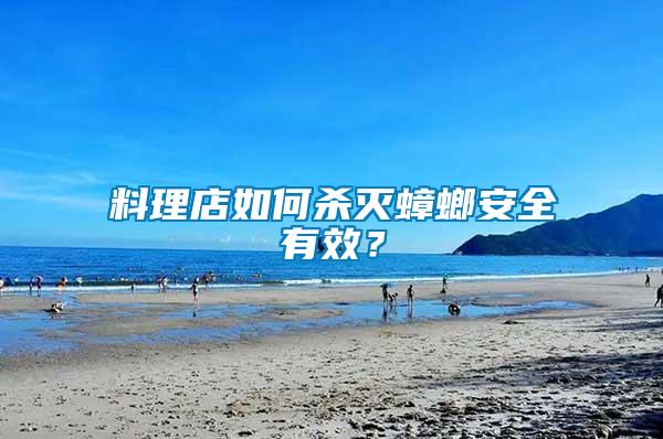 料理店如何殺滅蟑螂安全有效？