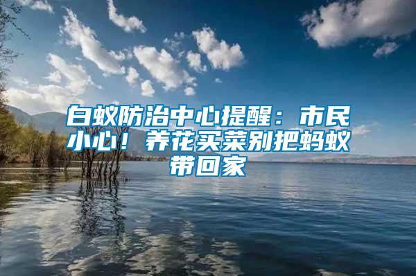 白蟻防治中心提醒：市民小心！養花買菜別把螞蟻帶回家