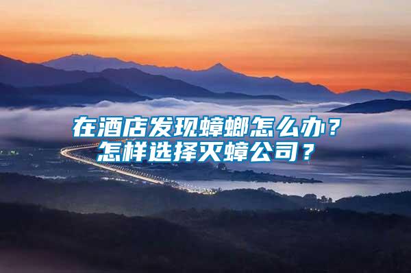 在酒店發(fā)現(xiàn)蟑螂怎么辦？怎樣選擇滅蟑公司？