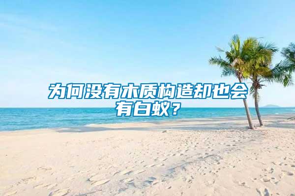 為何沒有木質構造卻也會有白蟻？