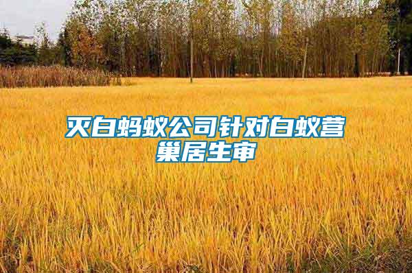 滅白螞蟻公司針對(duì)白蟻營(yíng)巢居生審
