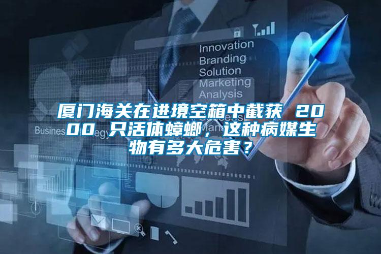 廈門海關(guān)在進(jìn)境空箱中截獲 2000 只活體蟑螂，這種病媒生物有多大危害？