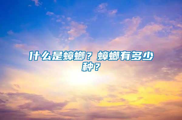 什么是蟑螂？蟑螂有多少種？