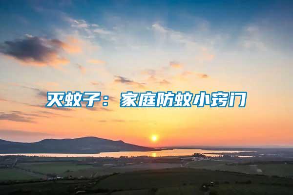 滅蚊子：家庭防蚊小竅門(mén)