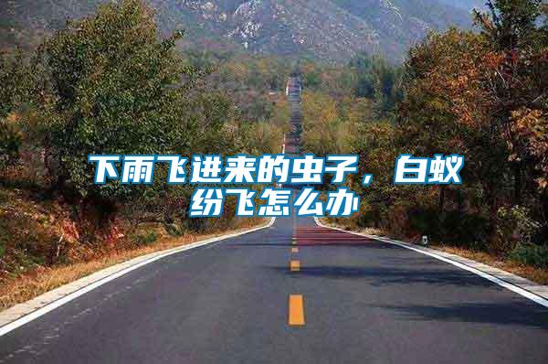 下雨飛進來的蟲子，白蟻紛飛怎么辦