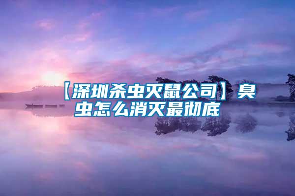 【深圳殺蟲(chóng)滅鼠公司】臭蟲(chóng)怎么消滅最徹底