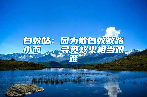 白蟻站：因?yàn)樯紫佅伮沸《]骳，尋覓蟻巢相當(dāng)艱難