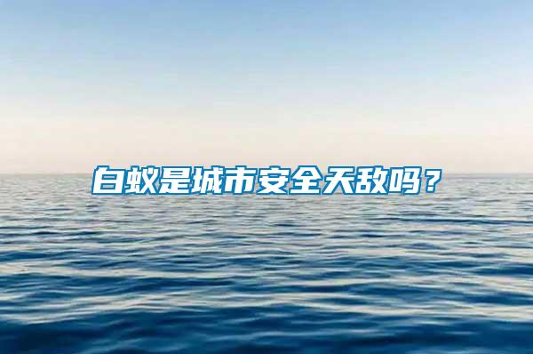 白蟻是城市安全天敵嗎？