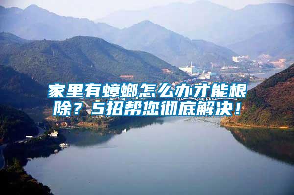 家里有蟑螂怎么辦才能根除？5招幫您徹底解決！