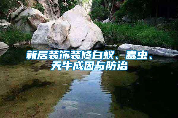 新居裝飾裝修白蟻、蠹蟲(chóng)、天牛成因與防治
