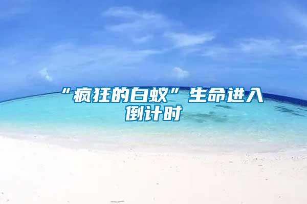 “瘋狂的白蟻”生命進(jìn)入倒計時