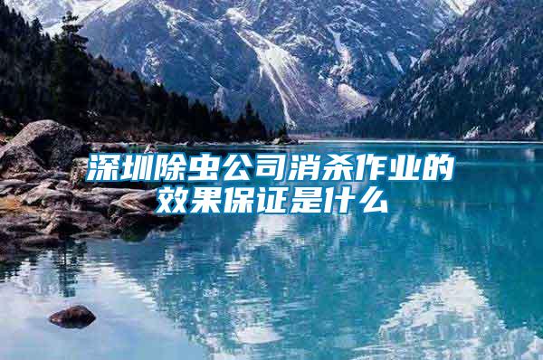 深圳除蟲(chóng)公司消殺作業(yè)的效果保證是什么
