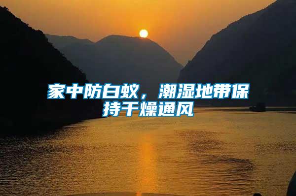 家中防白蟻，潮濕地帶保持干燥通風