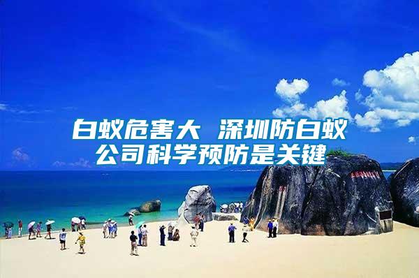 白蟻危害大 深圳防白蟻公司科學預(yù)防是關(guān)鍵