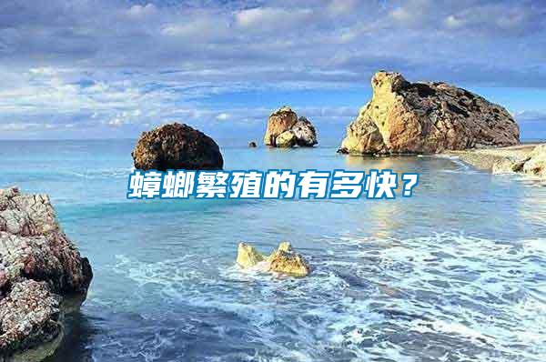 蟑螂繁殖的有多快？