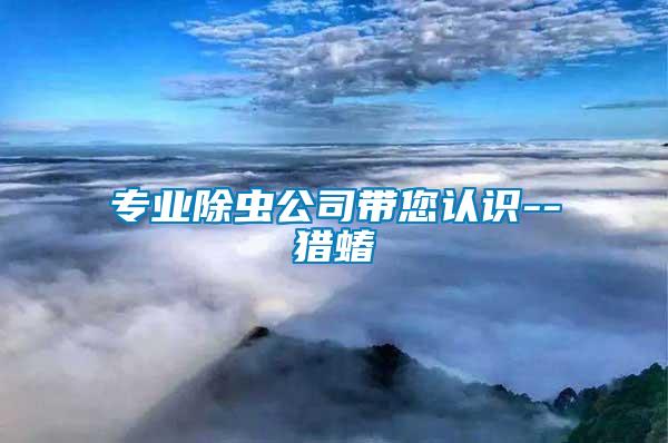 專業(yè)除蟲公司帶您認識--獵蝽